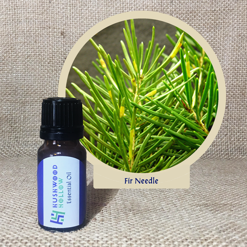 Fir Needle - Pure Therapeutic Grade Essential Oil - Hushwood Hollow