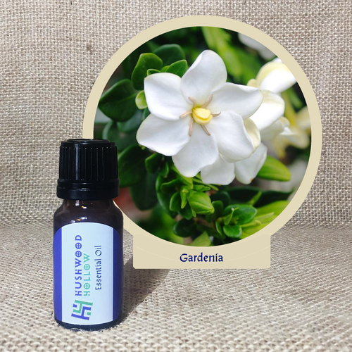 Gardenia 100% - Pure Therapeutic Grade Essential Oil - Hushwood Hollow