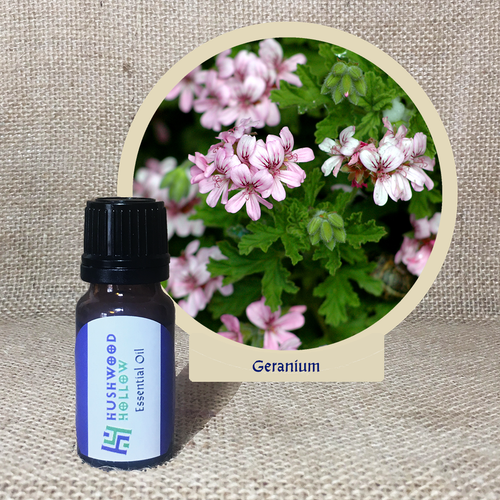 Geranium - Pure Therapeutic Grade Essential Oil - Hushwood Hollow