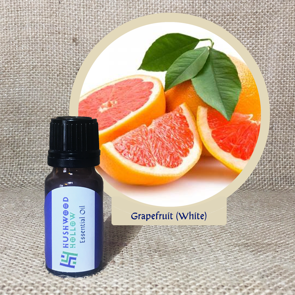 Grapefruit white - Pure Therapeutic Grade Essential Oil - Hushwood Hollow