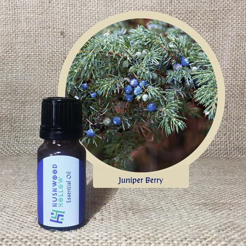 Juniper Berry - Pure Therapeutic Grade Essential Oil - Hushwood Hollow