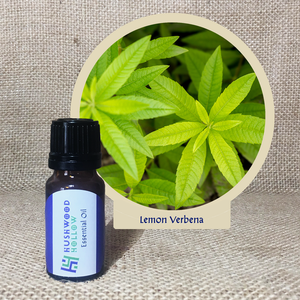 Lemon Verbena - 20% perfumery tincture