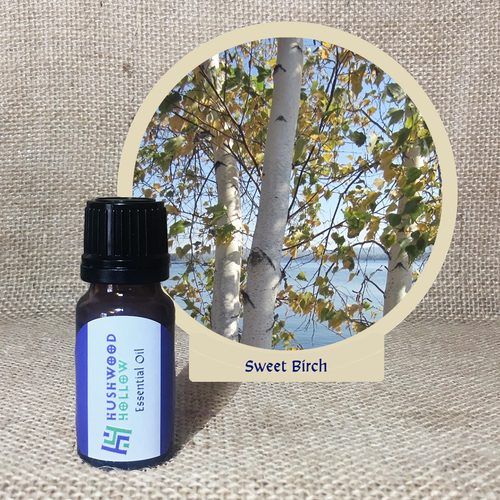 Sweet Birch - Pure Therapeutic Grade Essential Oil - Hushwood Hollow